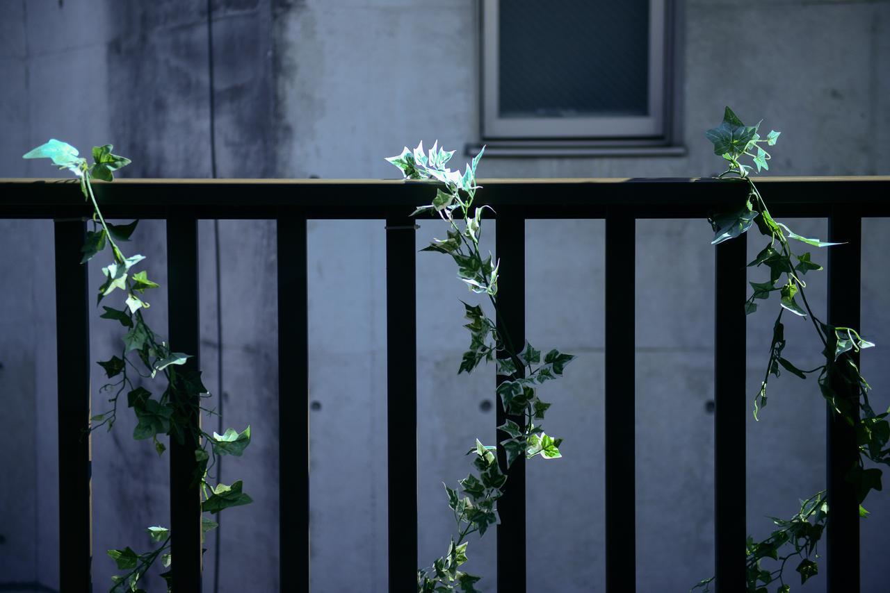 色絵古都 Iroekoto Quioto Exterior foto