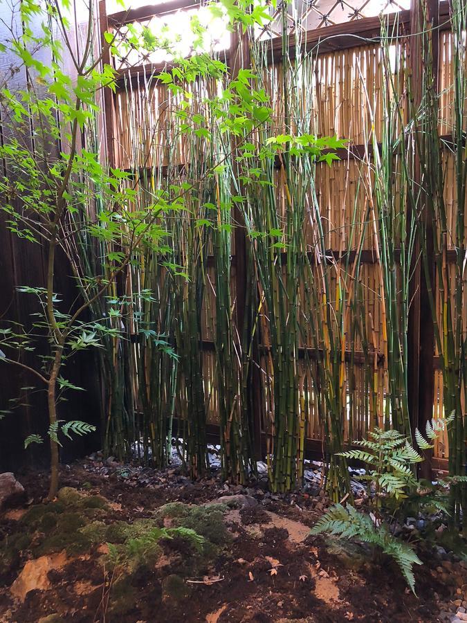 色絵古都 Iroekoto Quioto Exterior foto